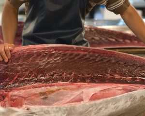 توزیع ماهی هوور ارزان